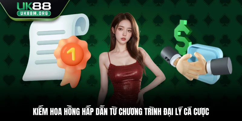 Kiếm hoa hồng hấp dẫn từ chương trình đại lý cá cược